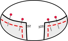 Les cordons sont maintenus par la piqûre d'assemblage de l'encolure