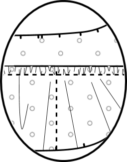 sac-scappa-poche-interieure-3-compartiments